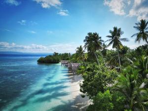 an island with palm trees and a sandy beach at West Mansuar Homestay in Pulau Mansuar