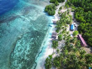 una vista aérea de una playa con palmeras y el océano en West Mansuar Homestay en Pulau Mansuar