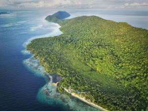 an aerial view of an island in the ocean at West Mansuar Homestay in Pulau Mansuar