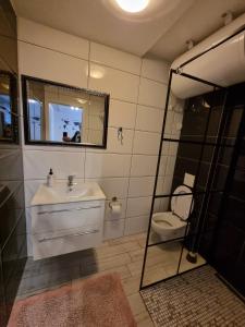 ein Badezimmer mit einem Waschbecken, einem Spiegel und einem WC in der Unterkunft App Central Market in Ljubljana