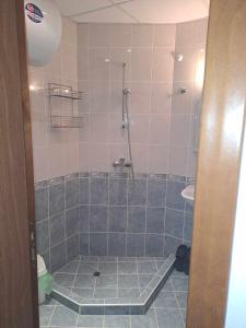 a bathroom with a shower and a toilet and a sink at Апартамент "Амира" in Balchik