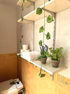 梅迪納德波馬爾的住宿－El rincón soleado，浴室设有镜子和架子上的盆栽植物