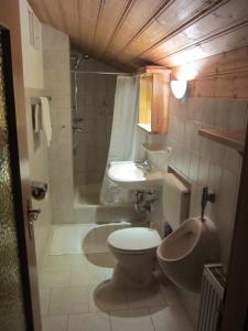 a bathroom with a toilet and a sink and a shower at Ferienwohnung Enzinger in Teisendorf