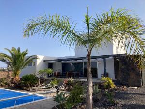 una palmera frente a una casa con piscina en Majanicho Rock - villa with heated pool, en Lajares