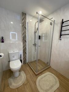 a bathroom with a toilet and a glass shower at Квартира Тропики центр міста st Remisnycha 55a in Chernihiv