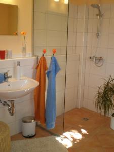y baño con ducha, lavabo y bañera. en Ferienwohnung Tischneck, en Schramberg