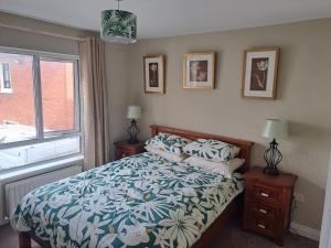 a bedroom with a bed and a window at 3 Riverwalk, Wicklow Town in Wicklow