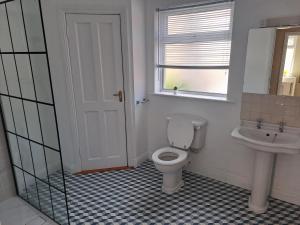 a bathroom with a toilet and a sink at 3 Riverwalk, Wicklow Town in Wicklow