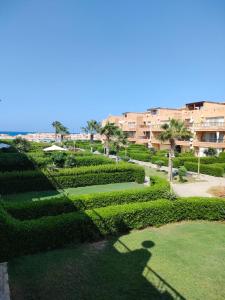 ein Schatten einer Person, die in einem Garten steht in der Unterkunft Blumar Sidi Abdel Rahman 2 bedrooms Chalet North Coast in El-Alamein