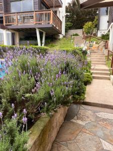 Zahrada ubytování Blumen Hotel