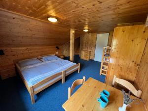 1 dormitorio con 1 cama y 1 mesa en una habitación en Penzion Bílá Labuť, en Pec pod Sněžkou