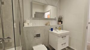 a bathroom with a toilet and a sink and a shower at Stunning Acton Apartment With Patio in London