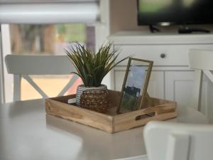 a wooden box with a mirror and a plant on a table at Falkenhof Meisdorf in Meisdorf