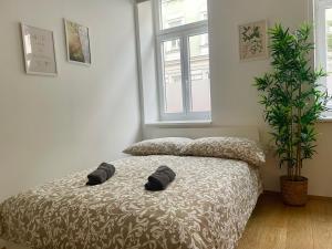 1 dormitorio con 1 cama con planta y ventana en 75 m2 Stylish Apartment with Free Parking, en Viena
