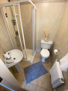 a bathroom with a shower and a toilet and a sink at Cosy 4 Bedroom Galway House with Rear Garden Patio in Galway
