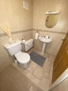 a bathroom with a toilet and a sink at Cosy 4 Bedroom Galway House with Rear Garden Patio in Galway
