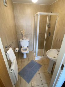 a bathroom with a toilet and a shower and a sink at Cosy 4 Bedroom Galway House with Rear Garden Patio in Galway