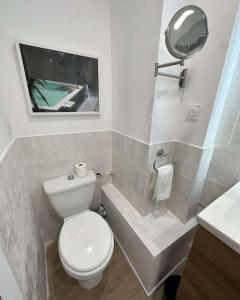 ein Badezimmer mit Toilette, Waschbecken und Spiegel in der Unterkunft Le cap dagde in Cap d'Agde + 5 Fotos