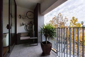 Un baño con balcón con planta. en Southside St Kilda Seclusion with Balcony and Parking, en Melbourne