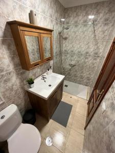 ein Bad mit einem WC, einem Waschbecken und einer Dusche in der Unterkunft NIVARIA SUITE in Vecindario