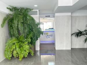 Gambar di galeri bagi Apartamentos Borinquen di Playa de las Americas