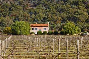 a house in the middle of a field of vines at Talits Estate Vineyard in Broke