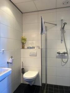 a bathroom with a toilet and a shower and a sink at Het Wapen van Rhoon in Rhoon