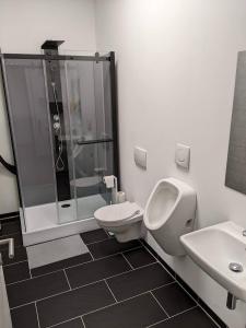 a bathroom with a shower and a toilet and a sink at Truck-Parking A8 in Heimsheim