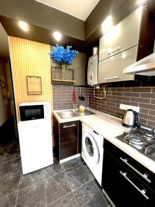 eine Küche mit einer Spüle und einer Waschmaschine in der Unterkunft Квартира Сапфір Avenue Myru 35a in Tschernihiw