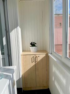 mała szafka z rośliną obok okna w obiekcie Квартира Сапфір Avenue Myru 35a w mieście Czernihów