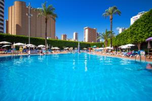 a large swimming pool with chairs and umbrellas at Hotel Servigroup Venus in Benidorm