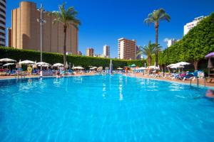 una grande piscina con sedie e ombrelloni di Hotel Servigroup Venus a Benidorm