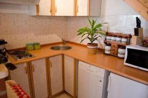 um balcão de cozinha com um lavatório e um micro-ondas em Apartment Miho em Trsteno