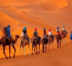 um grupo de pessoas a montar camelos no deserto em Desert Berber Camp em Merzouga