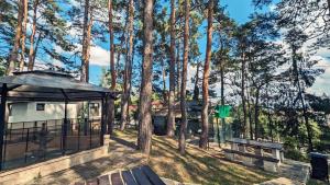 Complex Parc Pini Moinesti外面的花园
