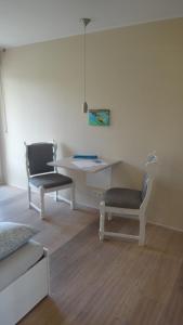 博登斯边的拉多夫采尔Auszeit am Bodensee的客房设有书桌、两把椅子和一张桌子
