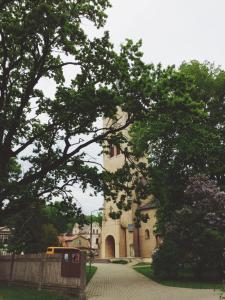 Fotografie z fotogalerie ubytování Green Jurmala Hostel v destinaci Jūrmala