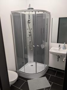 La salle de bains est pourvue d'une douche, de toilettes et d'un lavabo. dans l'établissement Truck-Parking A8, à Heimsheim