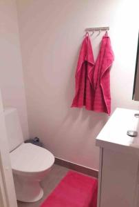 a bathroom with a toilet and a pink towel at Levi Holiday home Poroileville in Kittilä