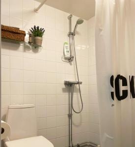 a bathroom with a shower with a toilet at Holiday apartment in Storvik close to skiing and fishing in Storvik