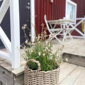 a basket of flowers on a porch with a chair at Holiday apartment in Storvik close to skiing and fishing in Storvik