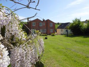 a tree with white flowers in a yard with a house at Pump Lodge in Weymouth