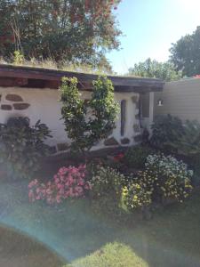 A garden outside QT