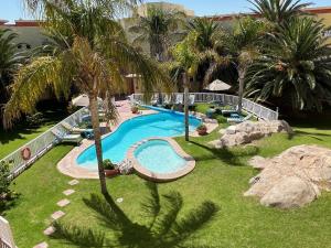 an outdoor swimming pool in a resort with palm trees at L&uuml;deritz Nest Hotel in L&uuml;deritz