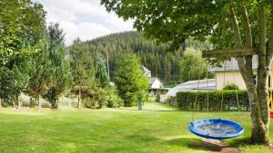 a blue swing in a yard next to a tree at Haus Zum Sternen in Vöhrenbach