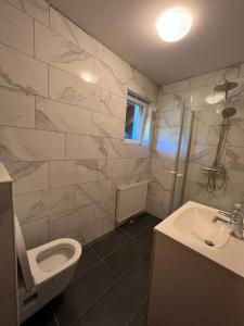 a bathroom with a toilet and a sink and a shower at Ferienzimmer zwischen Wien und Tulln in Tulln