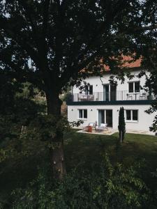 una gran casa blanca con un árbol delante en Das Dietrich - Landhaus 64, en Leibnitz