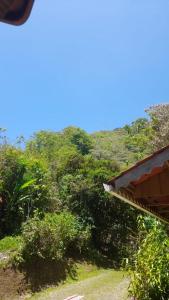 - une vue sur une colline avec des arbres et un bâtiment dans l'établissement Corredores del Pacuare, à La Suiza