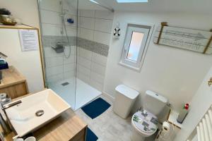 a bathroom with a shower and a toilet and a sink at Gîte Etienne Marie in Le Crotoy