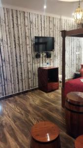 a living room with a tv and a couch at Zoom Inn Heritage in Puducherry